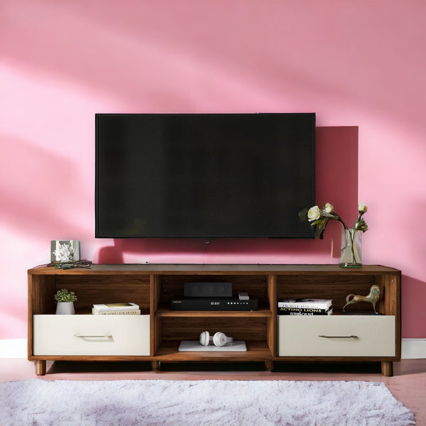 Anand Tv unit
